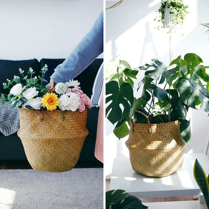 Extra Large Hand Woven Seagrass Plant Basket - 2 Pack Brown Belly Baskets with Handles for Storage, Laundry, Picnic, Plant Pot Cover, and Home Decor