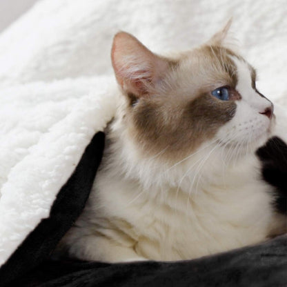 Cozy Black Fleece Sherpa Throw Blanket - Thick, Warm, and Velvety for Winter & Christmas (50 x 60 Inches)