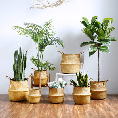 Extra Large Hand Woven Seagrass Plant Basket - 2 Pack Brown Belly Baskets with Handles for Storage, Laundry, Picnic, Plant Pot Cover, and Home Decor